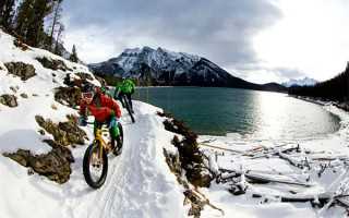 小马宝莉动画片全集 小马的故事 