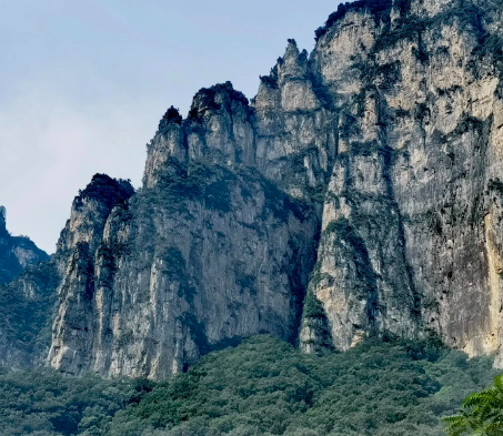 微信小程序排行榜