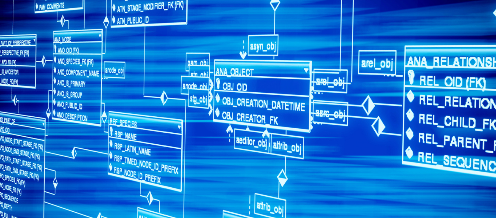 各种食用油的营养价值排行榜？(各种食用油的营养价值排行榜及价格)